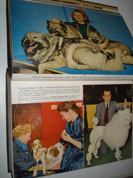 The National Geographie Magazine 1954 nummer 1