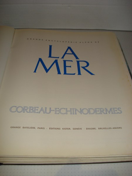 La Mer Corbeau Echinodermes nummer 4